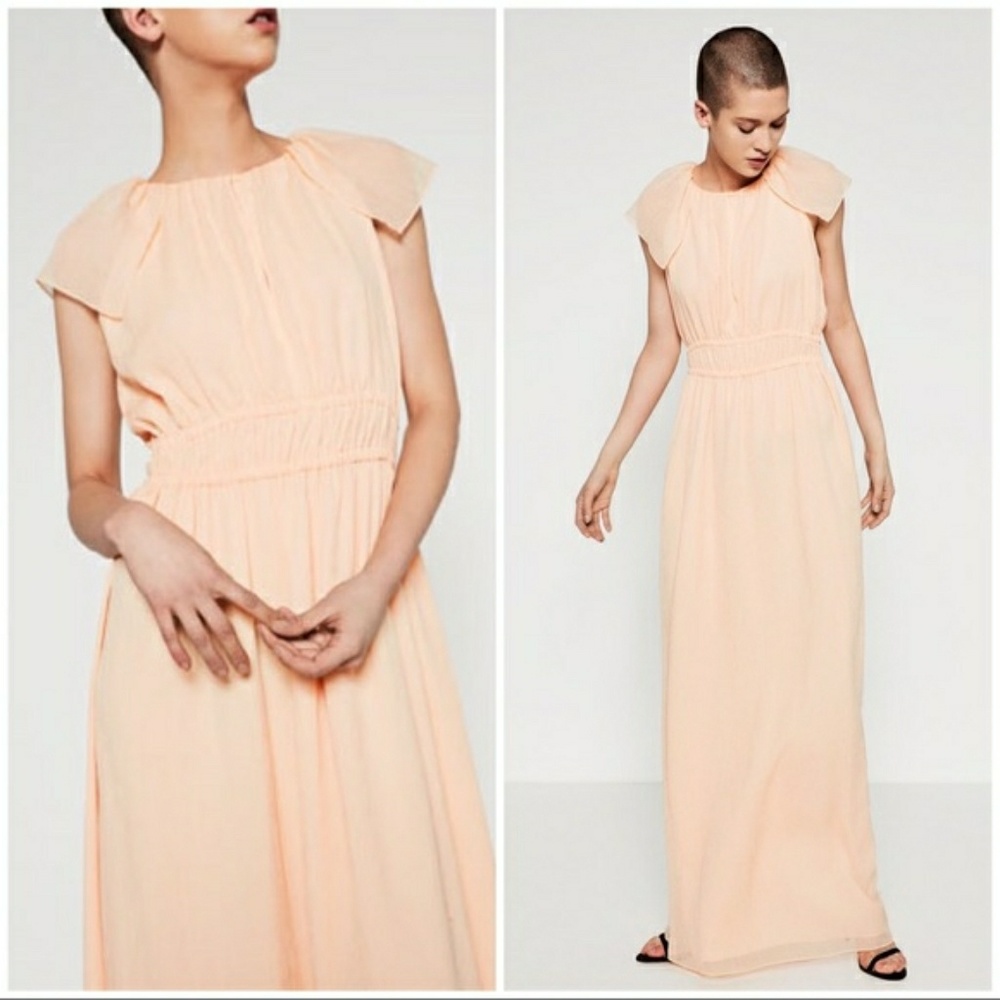 Zara Chiffon Maxi Dress
